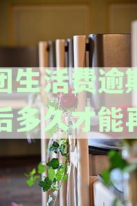 美团生活费逾期一次后，再次借款的时间限制和恢复机制解析