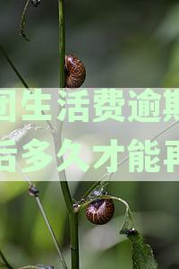 美团生活费逾期一次后多久才能再借出来：逾期后的借款机会及时间限制