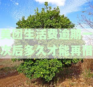 美团生活费逾期一期全额还款是真的吗？如何处理？