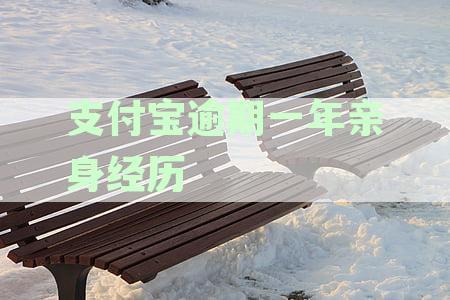 支付宝逾期一年后还款恢复正常支付功能的时间探讨