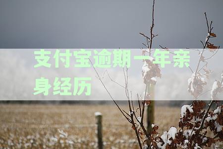支付宝逾期一年亲身经历