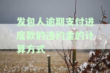 逾期支付进度款：发包人的责任及其解决措全面解析