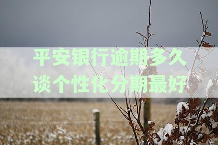 平安银行逾期后怎么协商个性化分期：解答您的疑惑与困惑