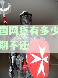 全国围内有多少人未偿还网贷？