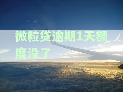 微粒贷逾期1天额度没了会怎样：处理方式与借款可能性