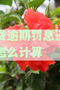 全面解析：如何计算网贷逾期罚息，以及相关费用和时间节点