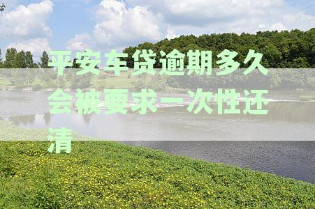 平安银行车贷逾期后，还款期限及全额还清的要求分析