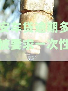 平安车贷逾期多久会被要求一次性还清
