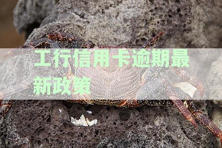 工行信用卡逾期应对策略：详细指南与实用建议