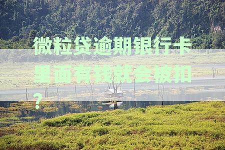 微粒贷逾期未还，银行卡余额是否会被扣款？还有其他还款方式吗？