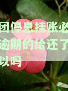 美团停息挂账政策详细解析：如何申请以及相关条件是什么？