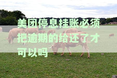 美团生意贷停息挂账申请操作指南：如何处理并解决这个问题？