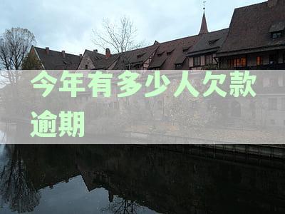 全国逾期率统计：2023年究竟有多少人未能按时偿还债务？