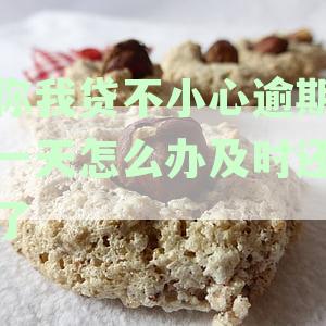 '你我贷逾期一天怎么办？及时还款后会怎么样？会上征信吗？'