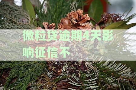 微粒贷逾期4天会有什么后果，有奖问答
