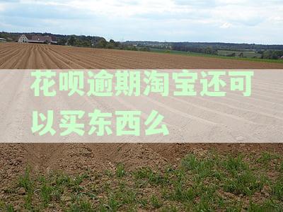 花呗逾期后在淘宝购物是否会受到追踪？如何解决逾期问题并继续安心购物？