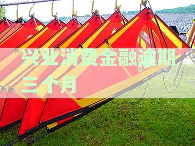 逾期三个月的兴业消费金融款是否会演变为呆账？探讨信用影响及处理方式