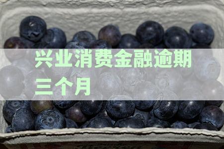 兴业消费金融逾期三个月案件进展：用户如何应对诉讼及可能的影响？