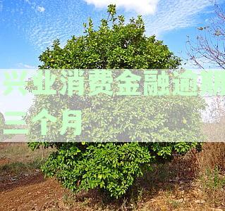 兴业消费金融逾期三个月
