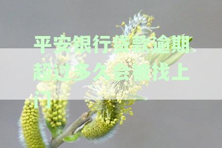 平安银行贷款逾期多久会打电话通知家人：逾期后的时间及可能的影响