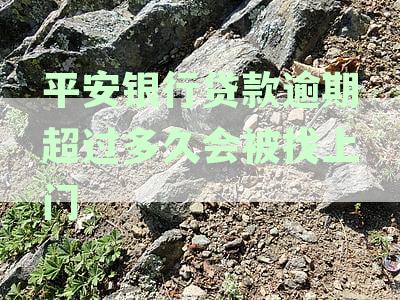 贷款逾期时间对平安银行征信的影响：逾期多久会显示在信用报告中？