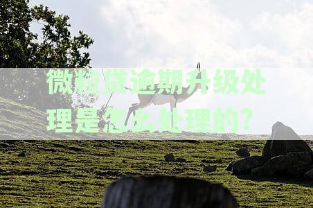 微粒贷警告升级方式全面解析：如何避免逾期、提高额度以及解决常见问题