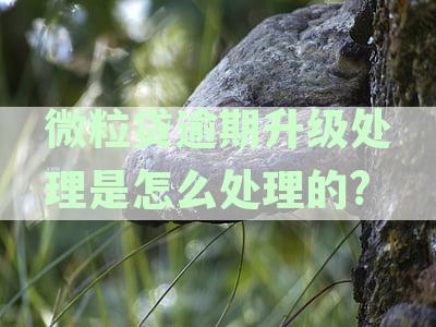 微粒贷逾期30多天，违约警告升级处理方式全解析