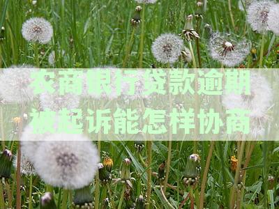 农商贷款逾期被起诉的流程是什么？如何协商解决？
