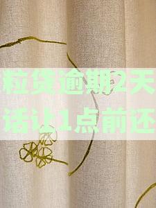 新「逾期四天的全额还款压力：微粒贷的催收电话」