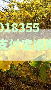 新支付宝逾期还款协商客服电话及处理方式详解
