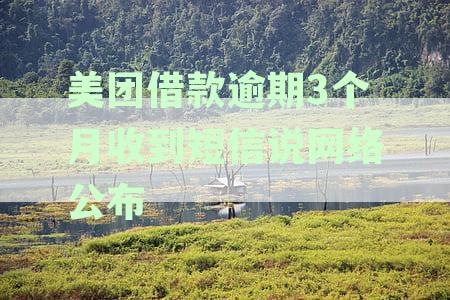 美团借款逾期12天后收到法院诉讼通知，如何应对？