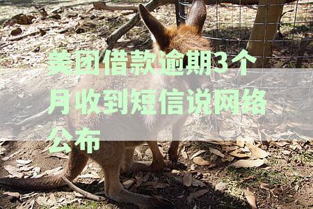 美团逾期三个月后，收到上门催收短信的真实性及可能的影响
