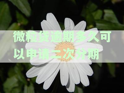 微粒贷逾期后如何申请二次分期？具体时间及流程详解，让您不再担忧逾期困扰