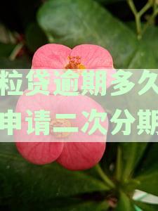 微粒贷逾期后多久能够重新开通？如何解决逾期问题以及恢复使用？