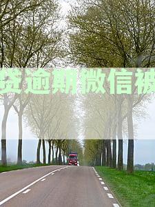微信支付被冻结：网贷逾期后的处理策略及时间分析