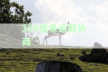 逾期协商还款打款到科技公司是不是被骗了-协商还款于成功了