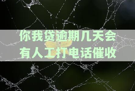 你我贷逾期后的催收策略与可能的联系方式