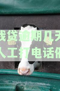 你我贷逾期几天会有人工打电话催收