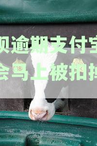花呗逾期后，支付宝进账是否会立即被扣除？如何应对花呗逾期问题？