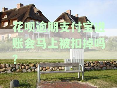 花呗逾期支付宝进账会马上被扣掉吗?