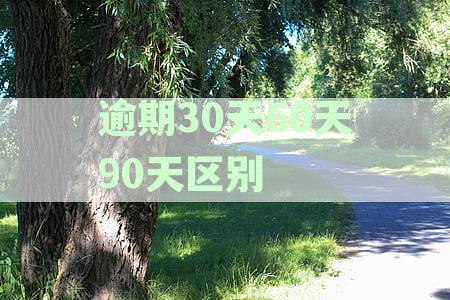 逾期90天是不是黑了？申请信用卡还有可能吗？