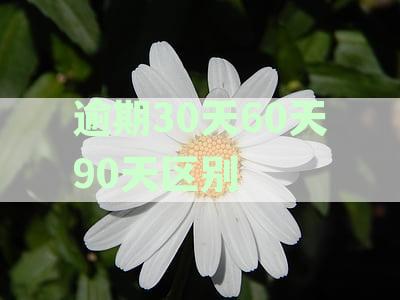 连续逾期90天到底是怎么计算的？了解连三累六逾期的具体规定与影响
