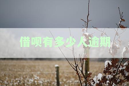 借呗逾期率分析：有多少用户曾逾期？逾期后的影响有哪些？如何避免逾期？