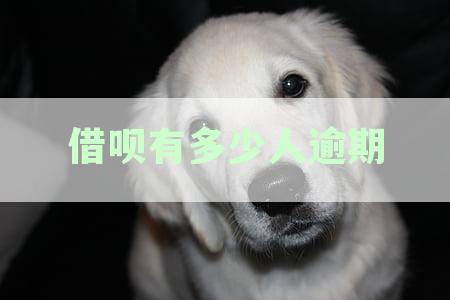 支付宝借呗逾期一天的用户统计数据揭秘
