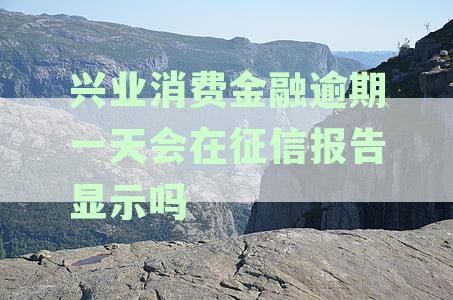 兴业银行消费金融逾期一天：征信报告中的记录与影响全解析