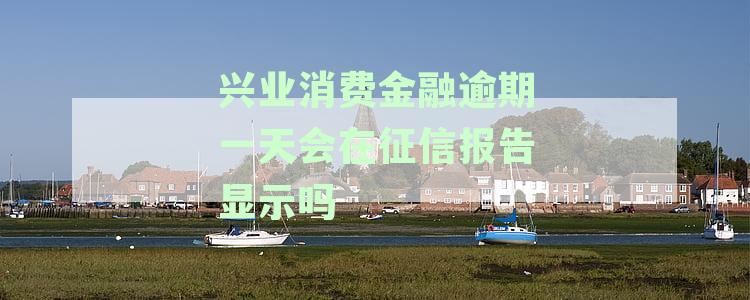 兴业消费金融贷款逾期的影响及处理方式探讨