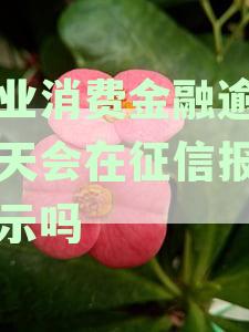 兴业消费金融逾期一天会在征信报告显示吗