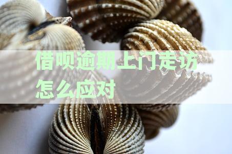 借呗逾期上门走访：真实情况、可能原因及解决办法全面解析