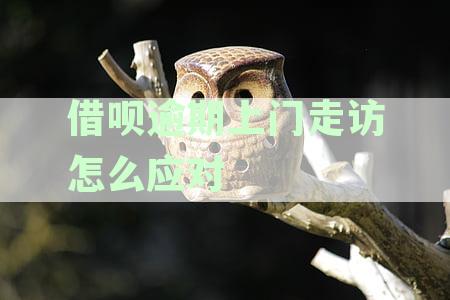 '蚂蚁委托方要上门解决贷款问题：如何妥善应对？'
