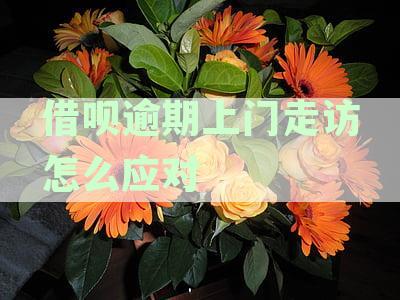 借呗逾期上门走访怎么应对